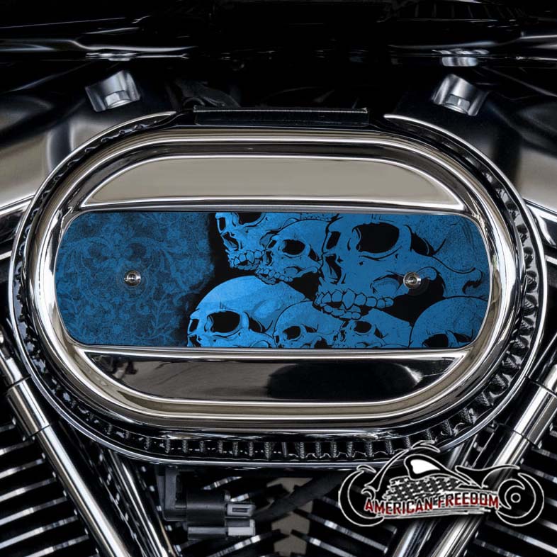 Harley Davidson M8 Ventilator Insert - Blue Skull Pile 2